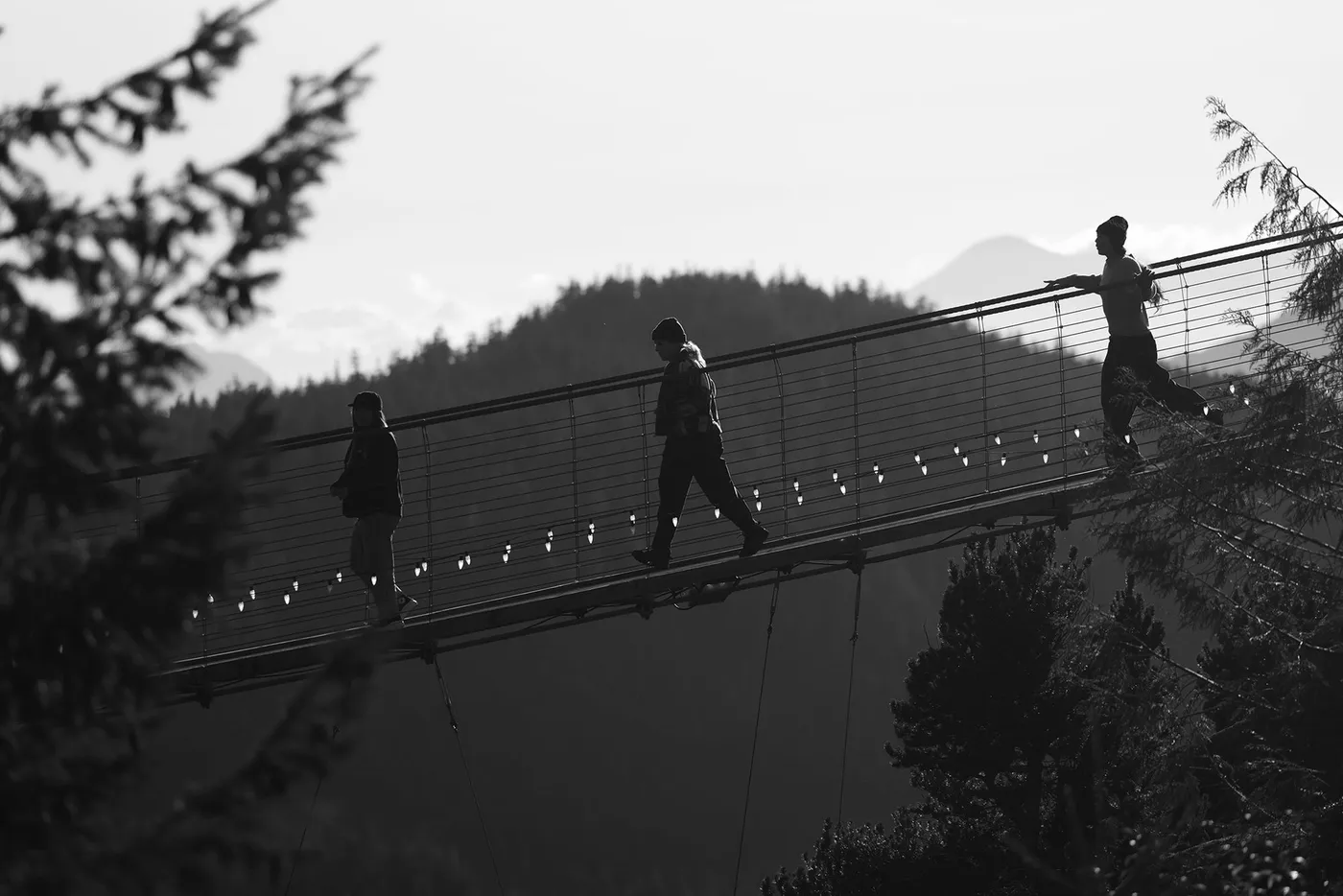 Black and white photo of people crossing a suspension bridge above a forest